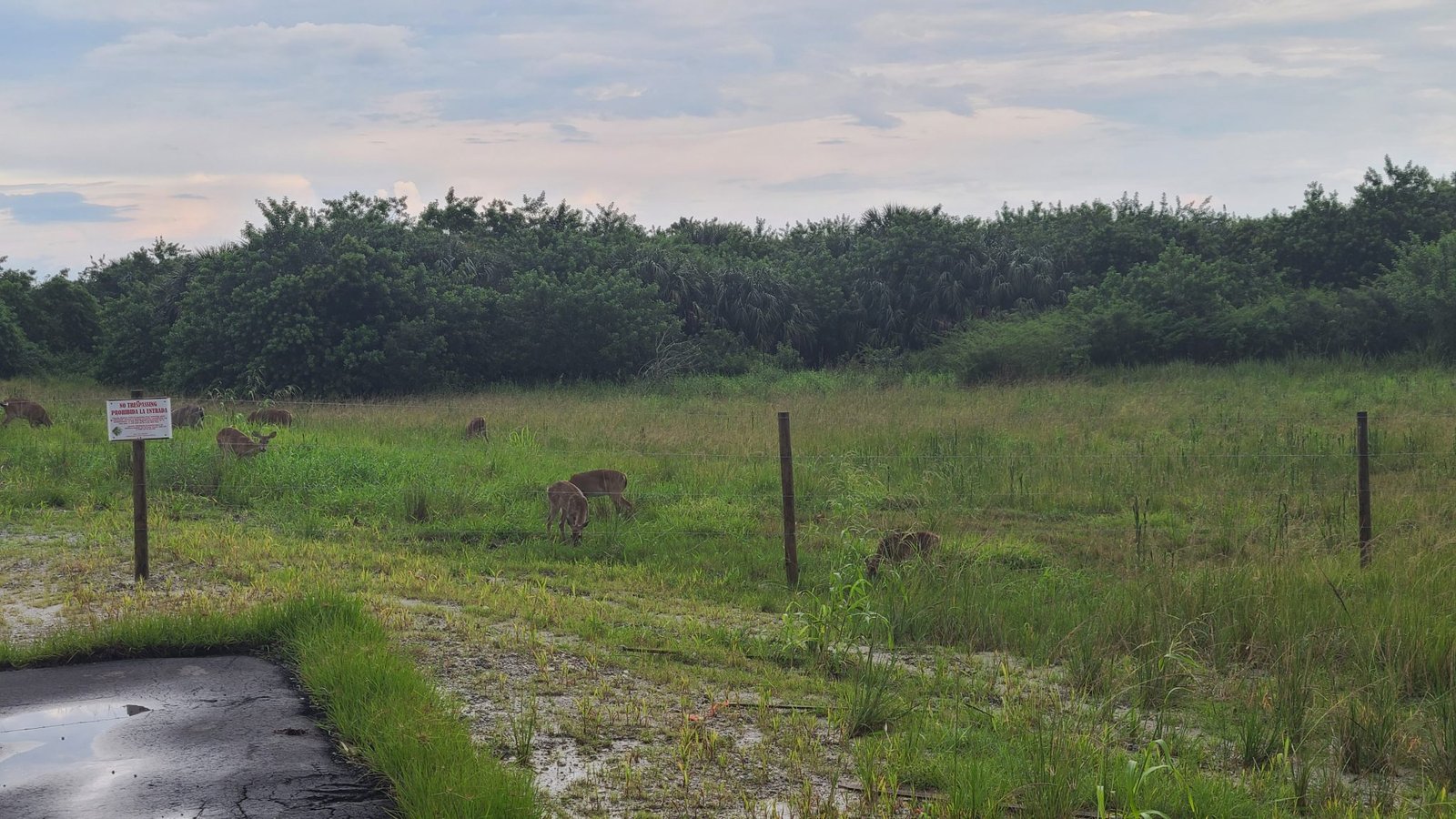 Headwaters Lake Boat Ramp Directions Headwaters Lake Fellsmere Fl